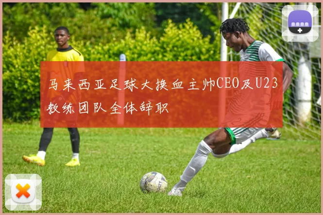 马来西亚足球大换血主帅CEO及U23教练团队全体辞职
